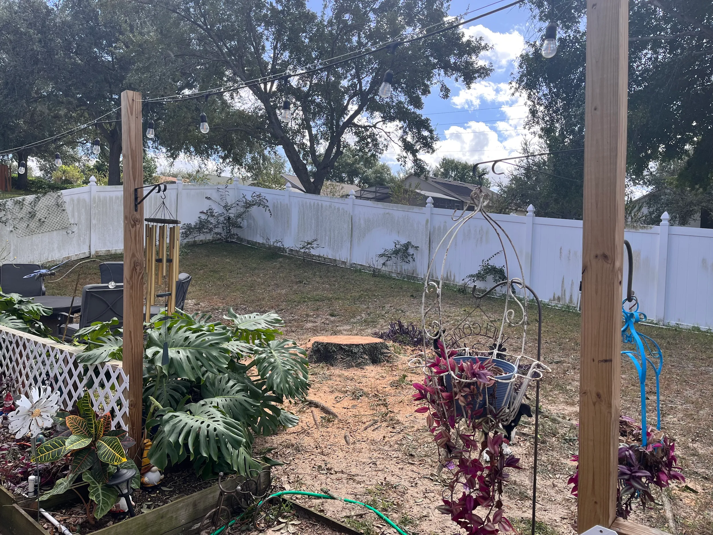Safe tree removal project