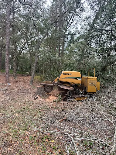 Tree service project